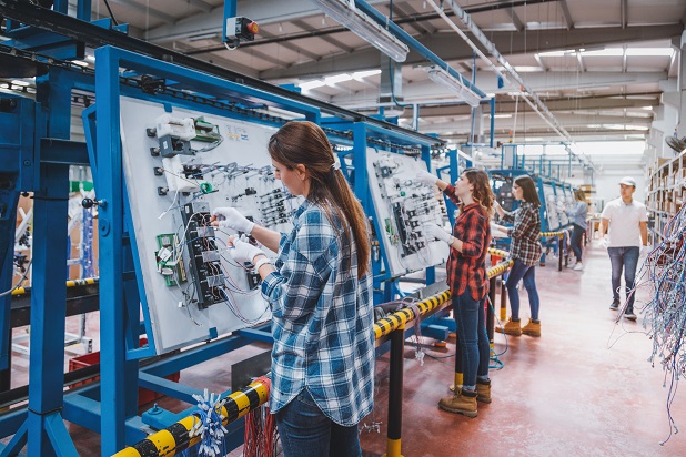 Wire Harness Assembly